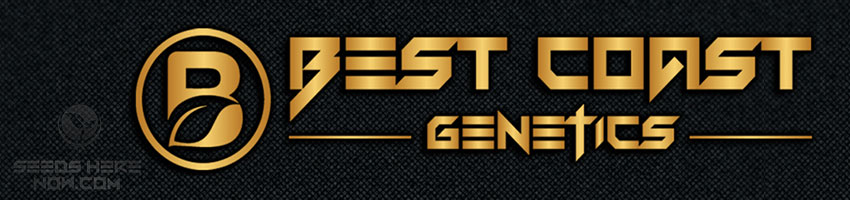 Best-Coast_Genetics