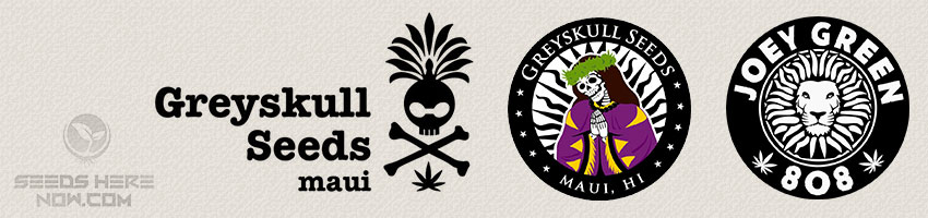 Greyskull-Seeds