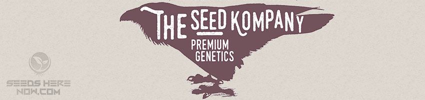 The-Seed-kompany