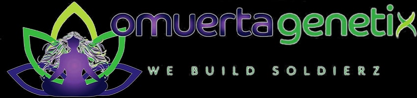 Omuerta_Genetix